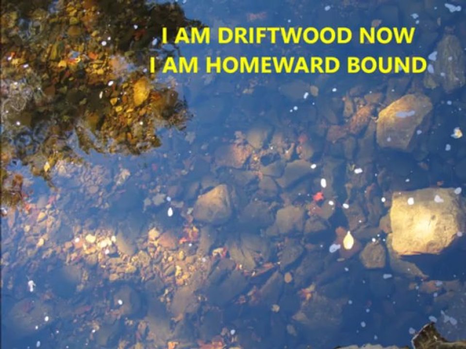 MY REFLECTION!