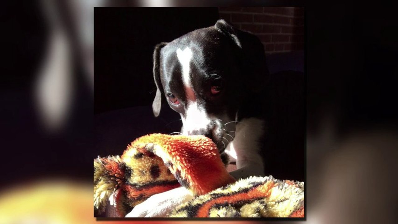 Apple iPad Air Review - SoldierKnowsBest