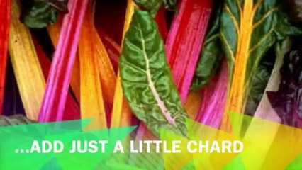 Gerson Green Juice FOR BEGINNERS