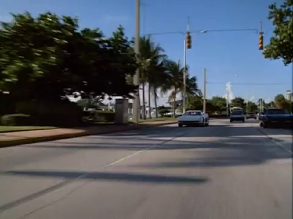 Miami Vice Blood and Roses