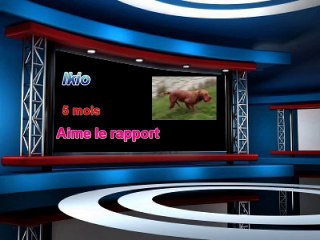 Ikio-5 mois-au rapport