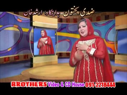 Ziddi Pukhtoon Hits Pashto Songs