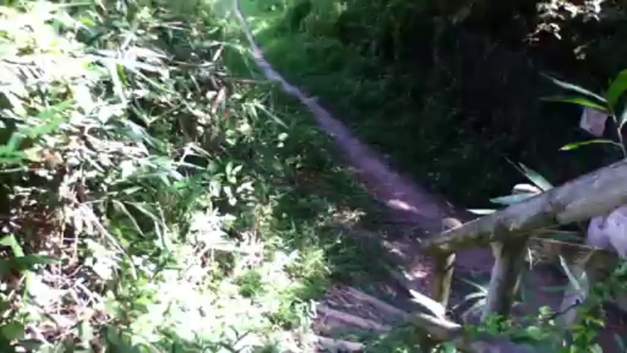 高安山（大道コースから恩地コース）H25 8月18日