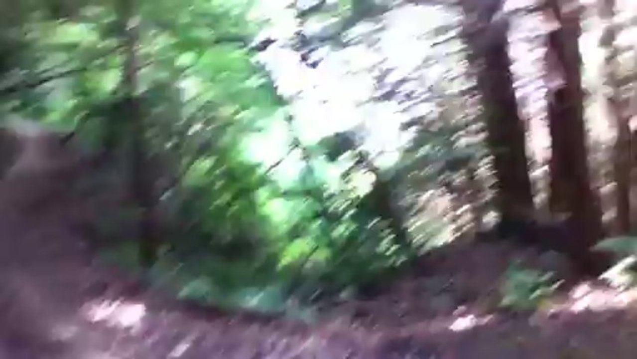 高安山（大道コースから恩地コース）H25 8月18日