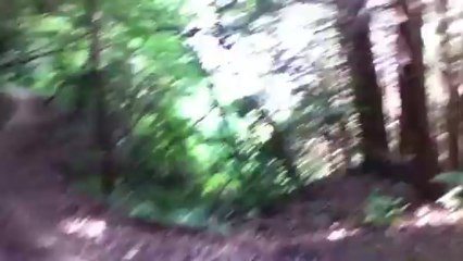 高安山（大道コースから恩地コース）H25 8月18日