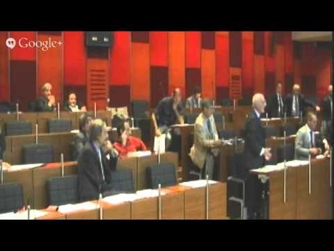 Napoli - Seduta consiliare del 7 novembre 2013 (terza parte)