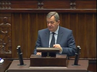 Romuald Ajchler - wystąpienie z 6 listopada 2013 r.