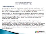 Sap TRM/Treasury All Modules Supporting@magnifictraining.com