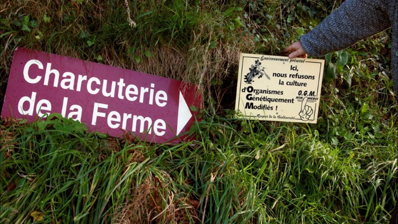 "On est en train de jeter des deniers publics par les fenêtres"