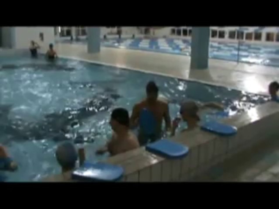 Nauka Pływania dla Młodzieży i Dorsłych Tomasz , Yvette i Dawid Dobroczek (3)