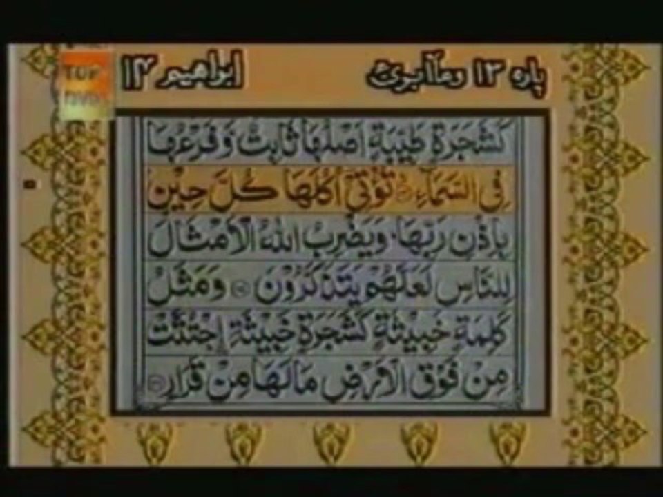 Sudais and Shuraim Quran Translation (Urdu) Para13 - 8 - YouTube
