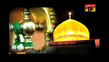 Mir Hasan Mir Noha 2014 Aun Di Maa [sa] Exclusive Release