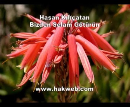 Hasan Kılıçatan - Bizden Selam Götürün - http___ hakweb.com