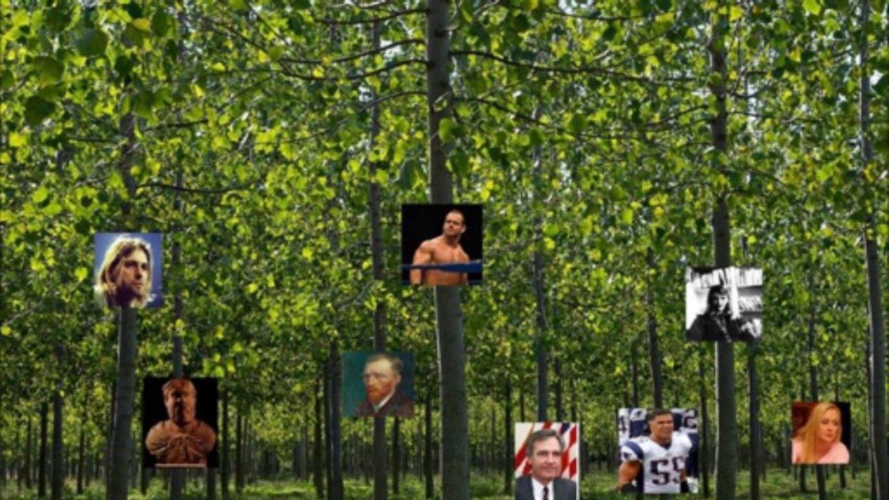 dantes inferno movie project