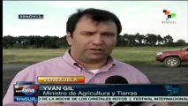 Venezuela: siembran inversión, cosechan cifras históricas de granos