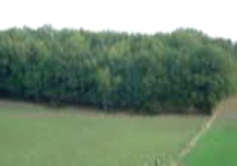 Equipage de la Haute Garenne : le Bien Aller