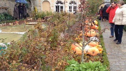 Centenaire de la société d'horticulture