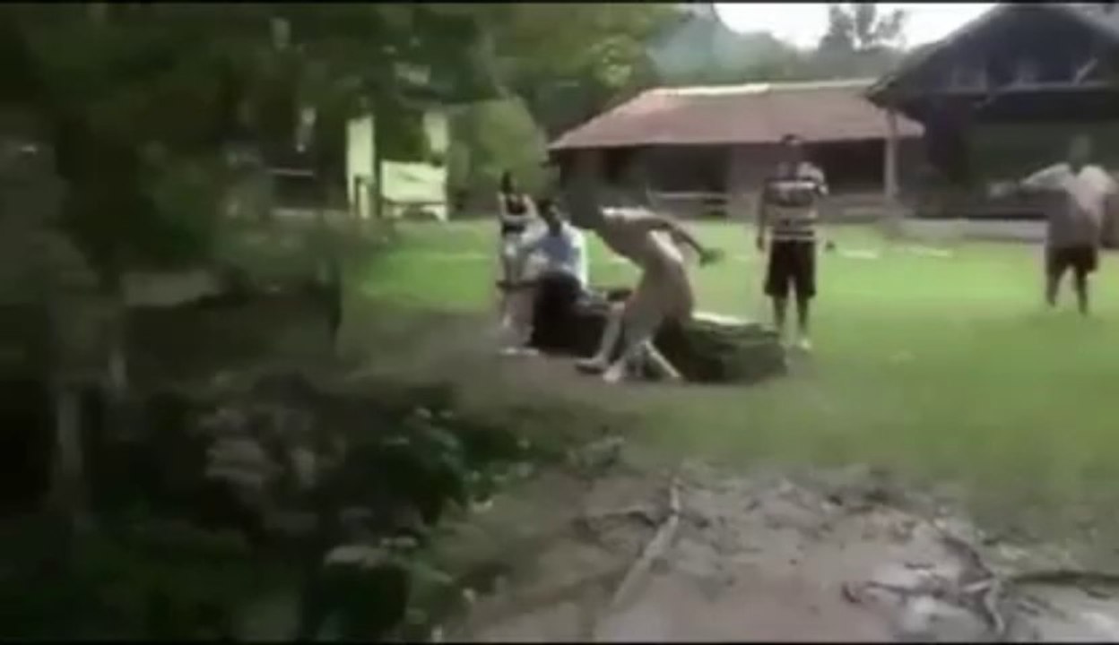 Un plongeon raté! Il glisse et s'étale... Ridicule!