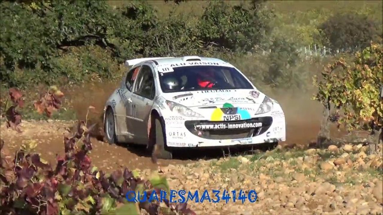 RALLYE TERRE DE VAUCLUSE 2013 ( FULL HD )