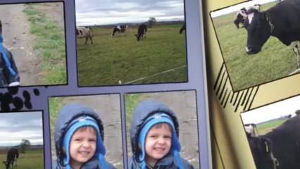 Mój dzień okiem Xperii