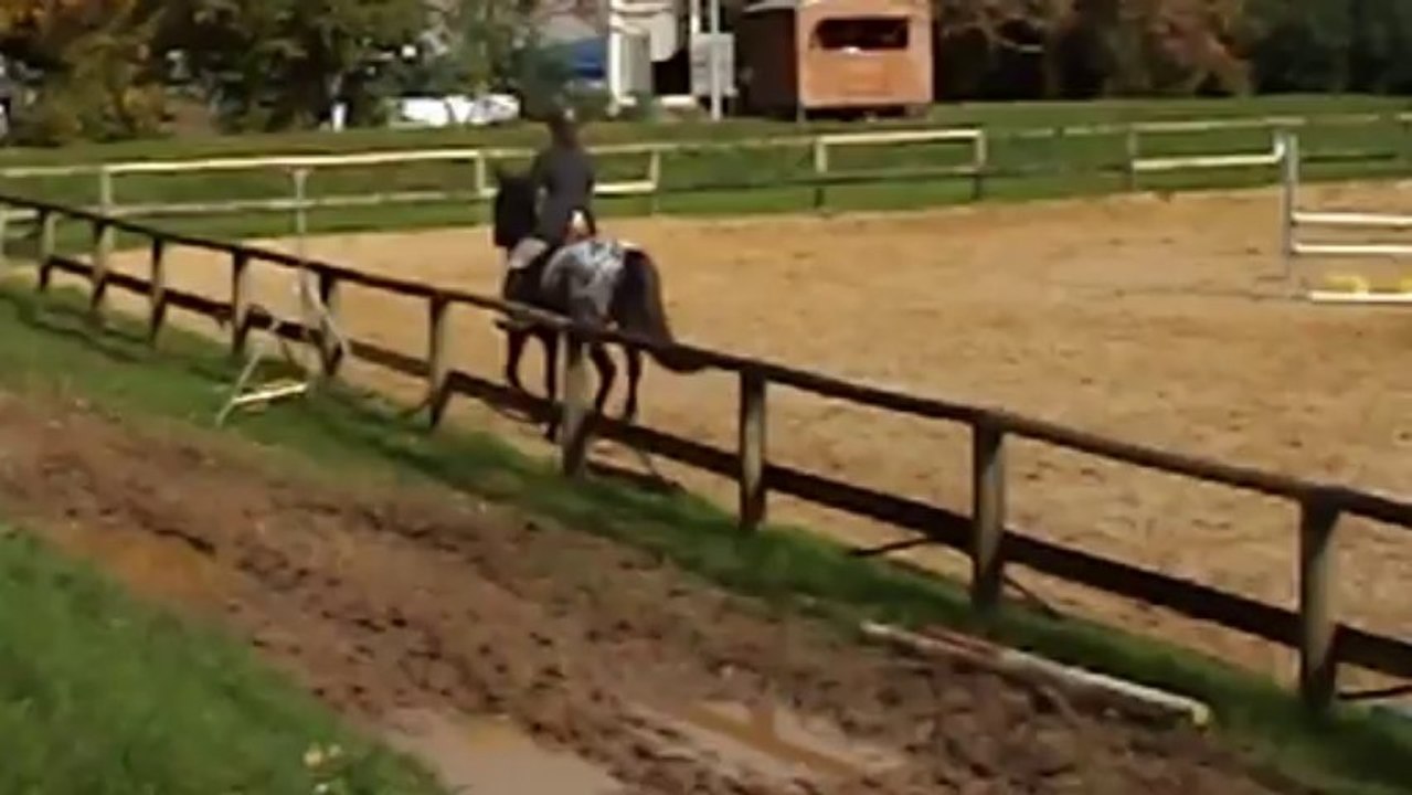 Quinoa Country CSO Melle Poney E2