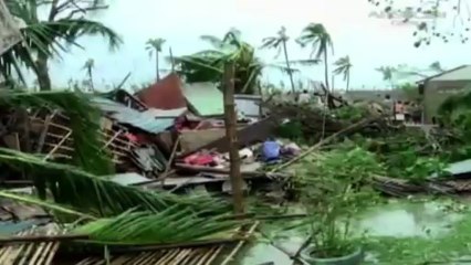 Mehr als 10.000 Tote durch Taifun "Haiyan" befürchtet