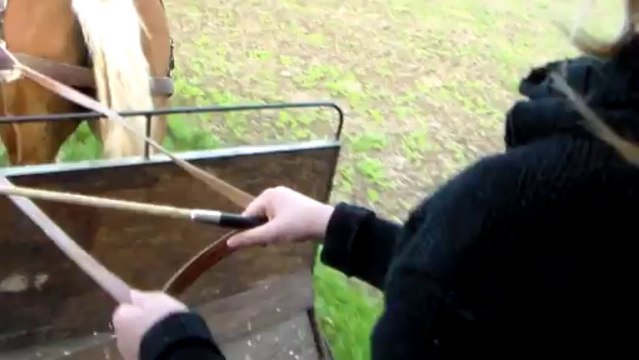 petite balade en attelage