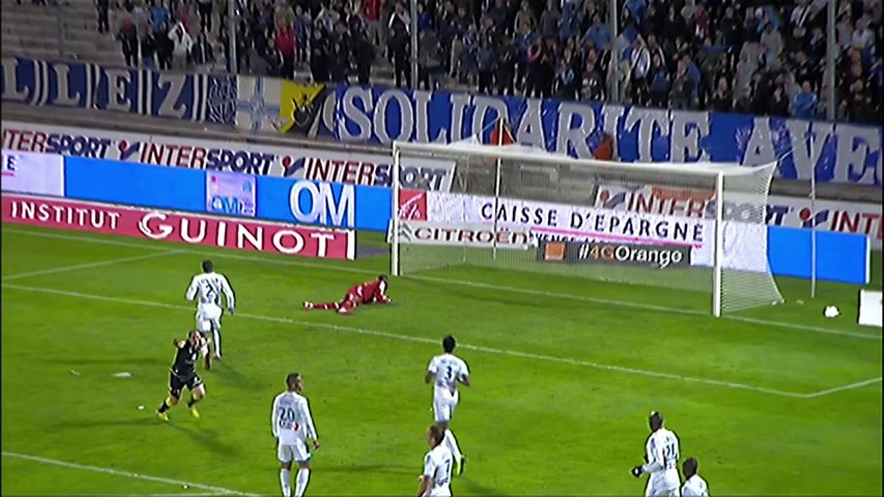 Ligue 1 - Tous les buts de la 13ème journée - 2013/2014