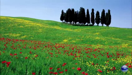 Turn around look at me - Ray Conniff