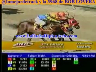 larinconada RESUMEN CARRERA SABADO 09 DE NOVIEMBRE DEL 2013