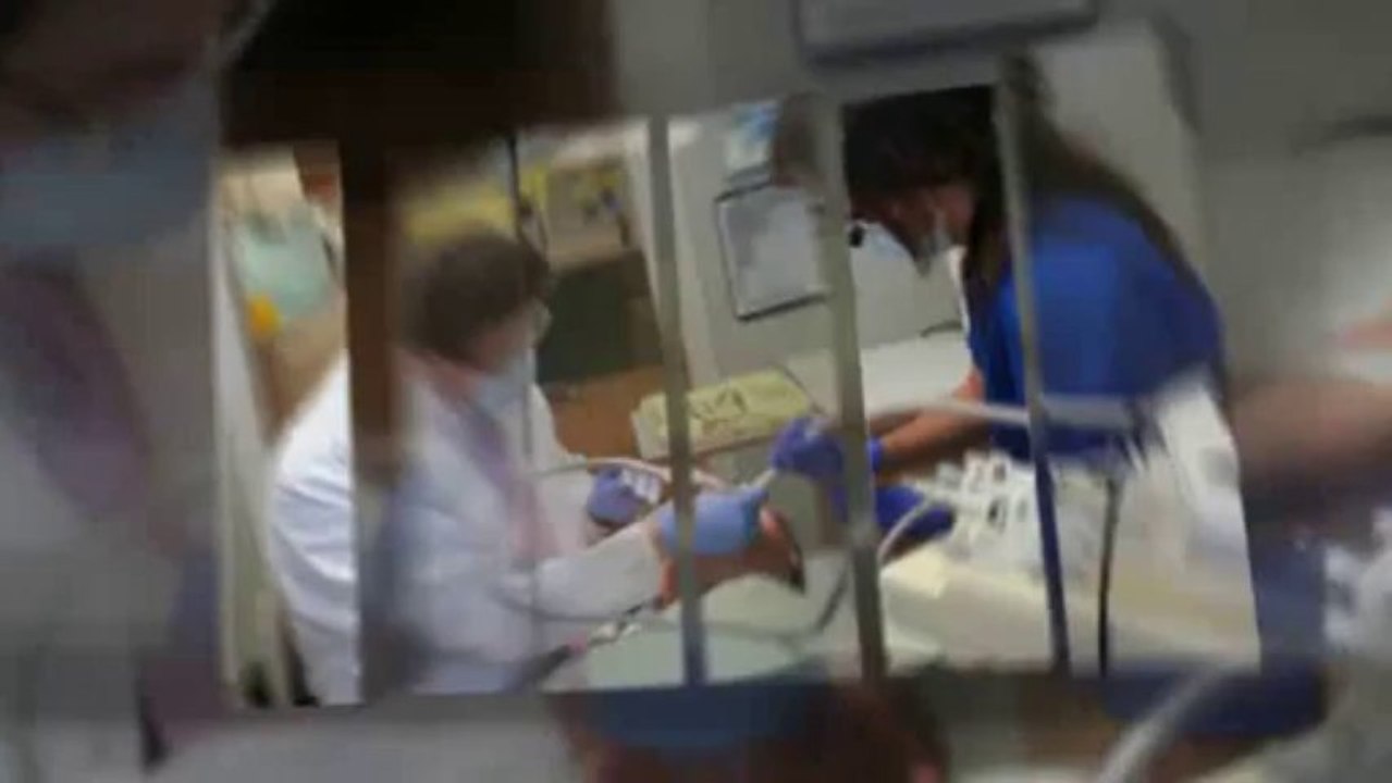 Dentist Torrance CA