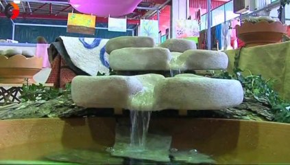 Alès: 5 ème salon du bio 2013