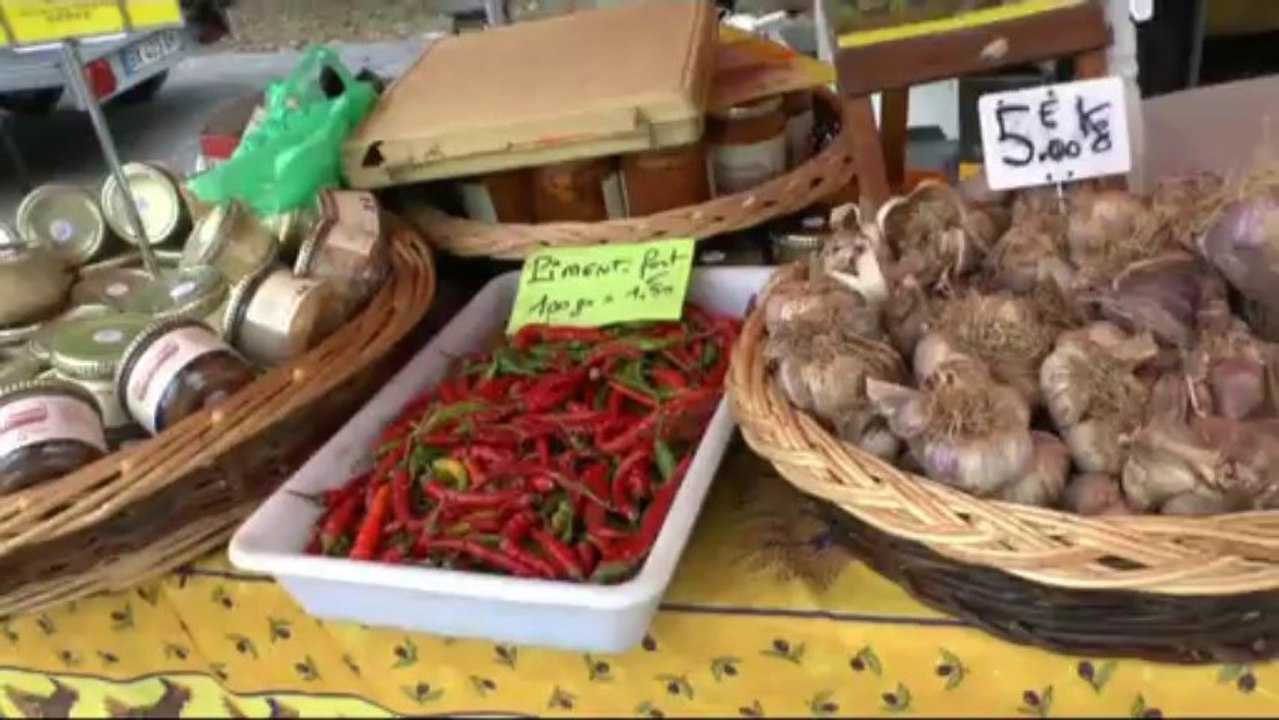 LES  W-D.D. MICHOU NEWS - 1er NOVEMBRE 2013 : CONCOURS D'ATTELAGE - LE VILLAGE.