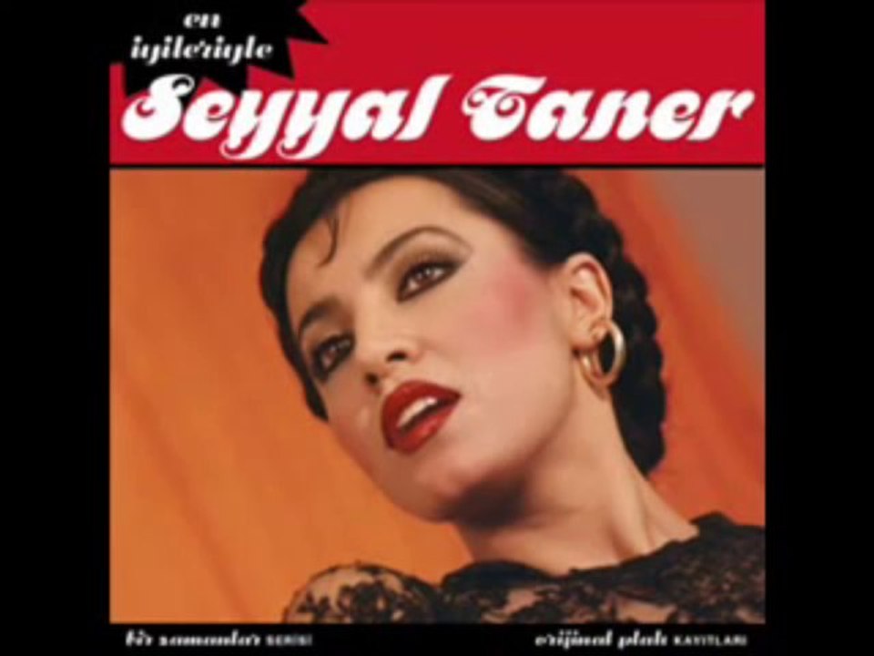 Seyyal Taner - Şiirimin DiLi