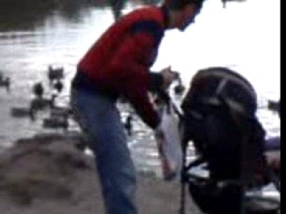 le lac de besse le 19-11-06