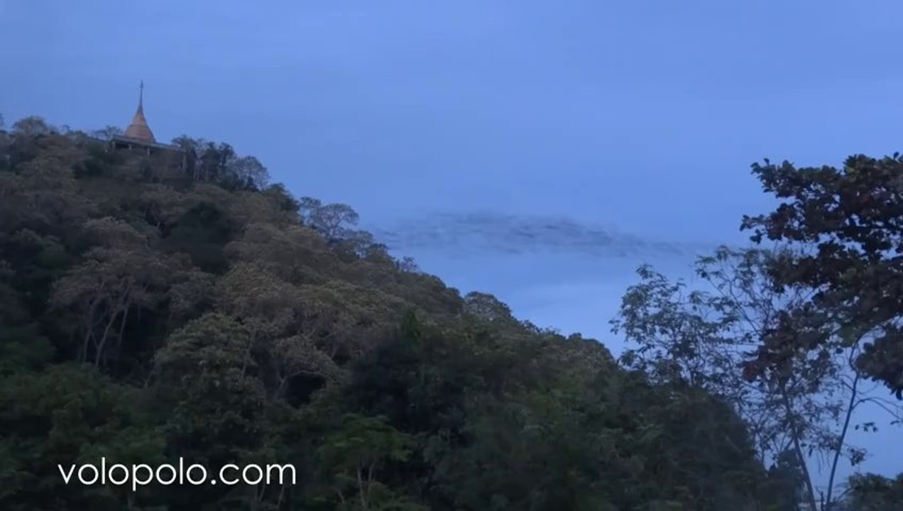 Wat Khao Chong Pran - Millions of bats flying out of their caves