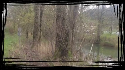 Un peu de publicité, par Talus Strudel.