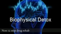 Biophysical detox -Biophysical drug detox -Non 12 step drug rehab