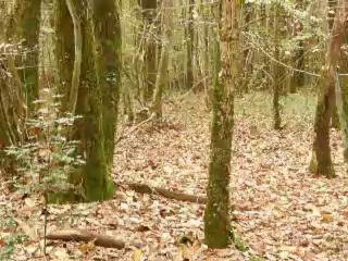 filou deux zone memoire et aveugle sur zone de confiance