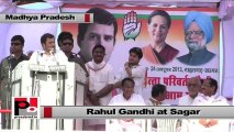 Rahul Gandhi : Congress fights as a unit in MP elections
