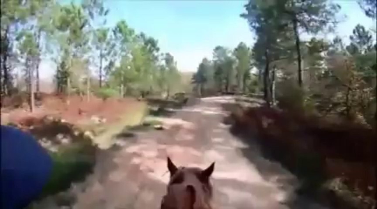GoPro-Ozaner-Arazi