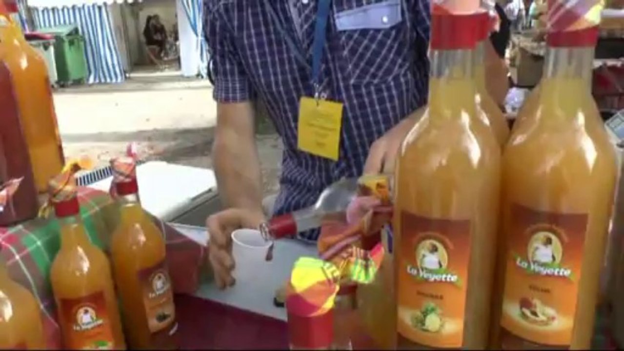 LES  W-D.D. MICHOU NEWS - 27 OCTOBRE 2013 :  LES ANIMATIONS PROPOSEES CE DIMANCHE AU DOMAINE DE SERS.