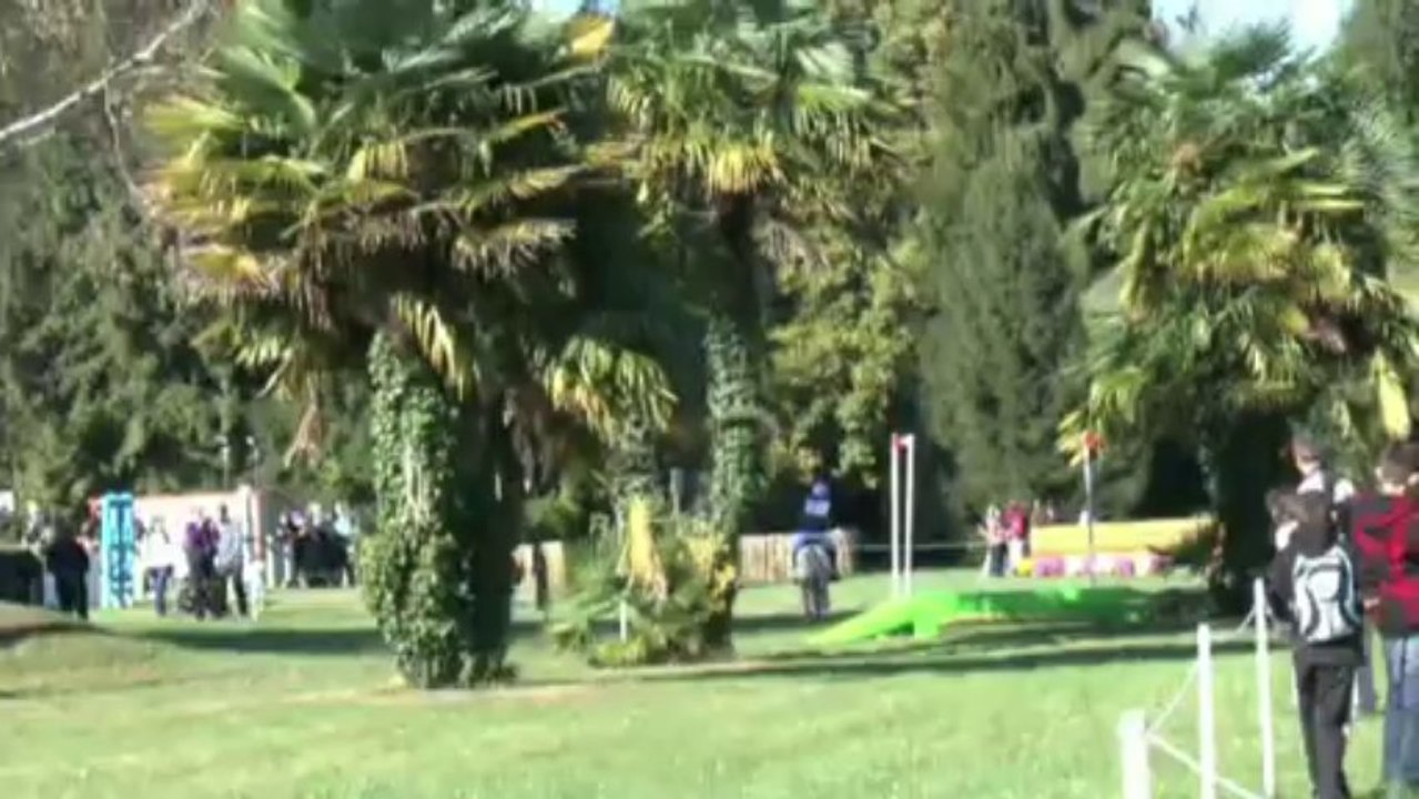 LES  W-D.D. MICHOU NEWS - 27 OCTOBRE 2013 - COMPETITION - LE CROSS DES PONEYS DU CONCOURS HIPPIQUE INTERNATIONAL DE PAU.