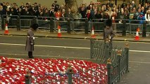 Two-minute silence observed at Cenotaph