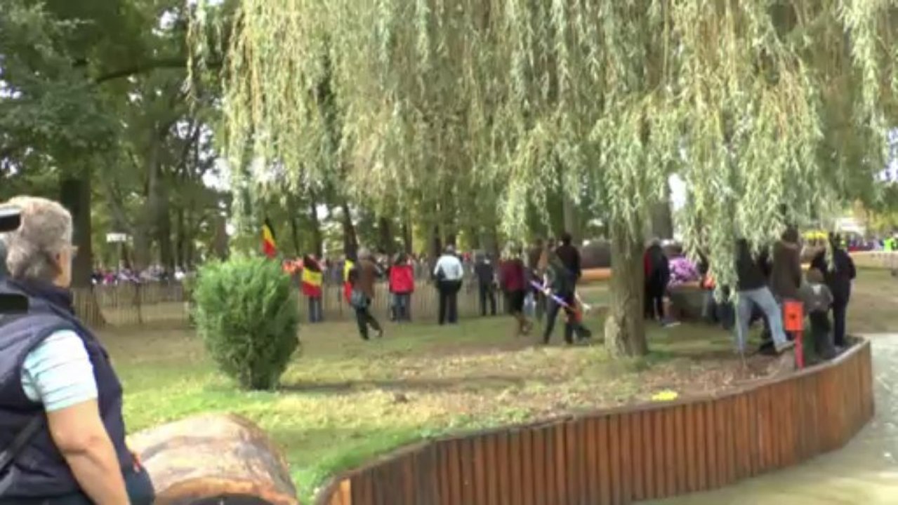 LES  W-D.D. MICHOU NEWS - 2 NOVEMBRE 2013 - LE MARATHON DU CONCOURS MONDIAL D'ATTELAGE DE PAU.