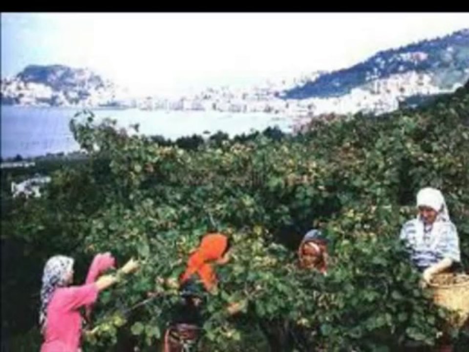 Adalet Büyükkaya - Giresun Üstünde