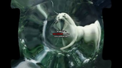 Bande-annonce de mon livre intitulé "Face Brûlée, la quête".