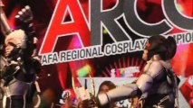 Anime and manga fans enjoy Cosplay festival 2013