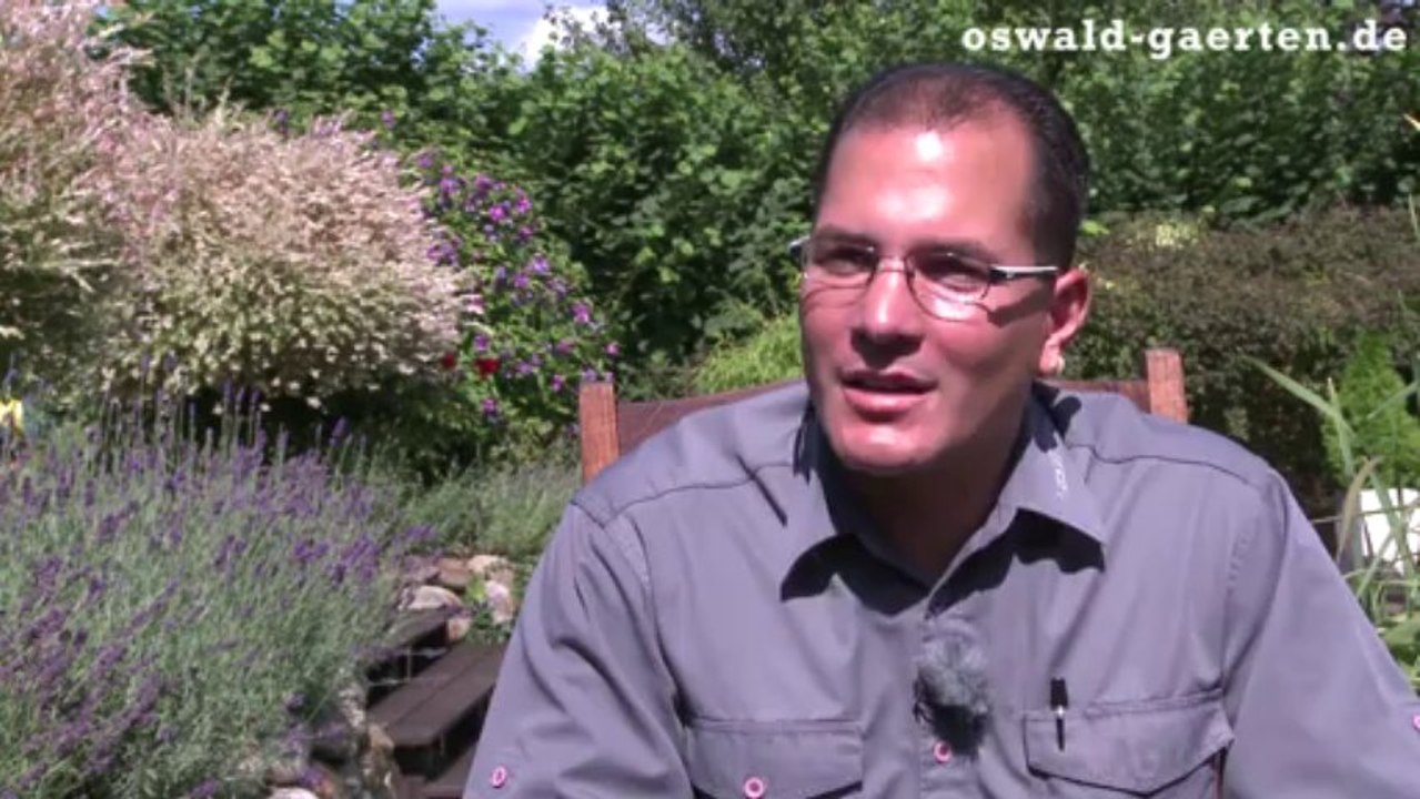 Gartengestaltung Kiel: Wohlfühlfaktor für den wichtigsten Ort Ihres Lebens