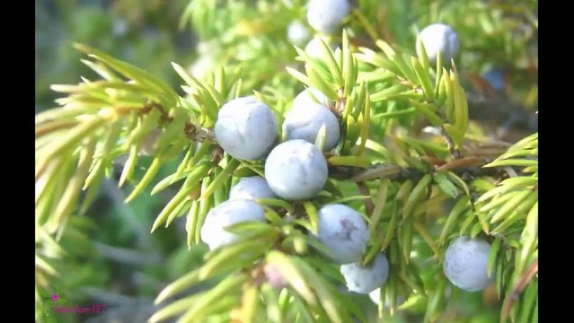 DKNY Be Delicious Туалетна Вода-Спрей